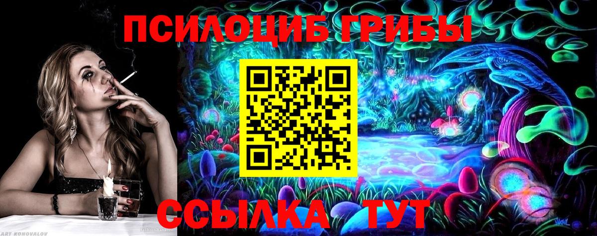 Псилоцибиновые грибы Psilocybe Саяногорск