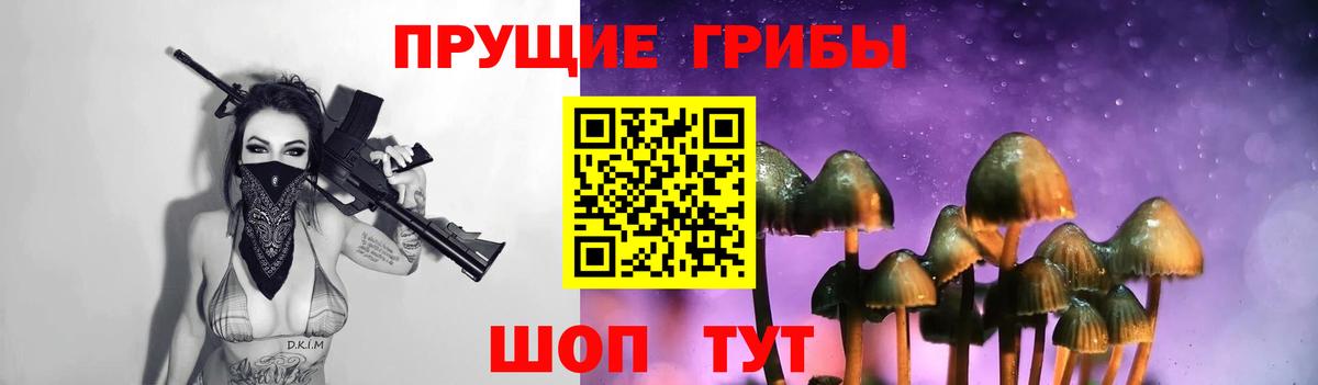 Галлюциногенные грибы GOLDEN TEACHER  где купить наркоту  Саяногорск  Вход с VPN 
